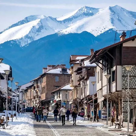 Bashtin Dom - Skabrin House Konukevi Bansko