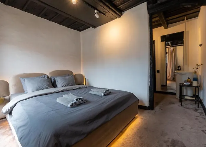 Bashtin Dom - Skabrin House 4* 班斯科