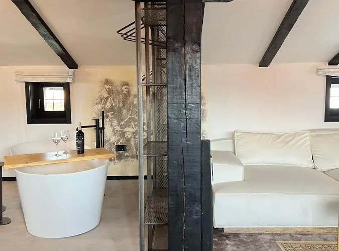 Bashtin Dom - Skabrin House 招待所